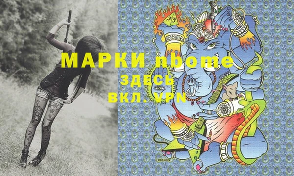 a pvp Бородино