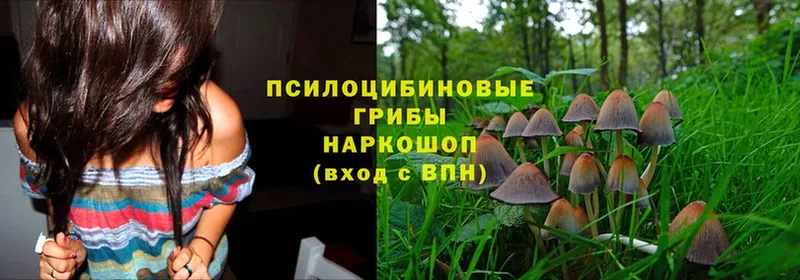 blacksprut онион  купить  цена  Красноуфимск  Псилоцибиновые грибы MAGIC MUSHROOMS 